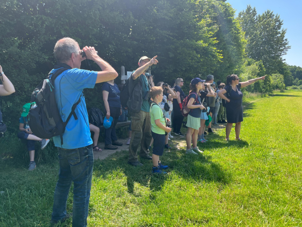 Wanderung Limbacher Teiche