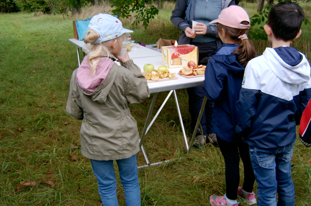 Kinder auf der Streuobstwiese