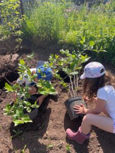 Fraureuth: Kita-Kinder haben ihren eigenen Insektengarten