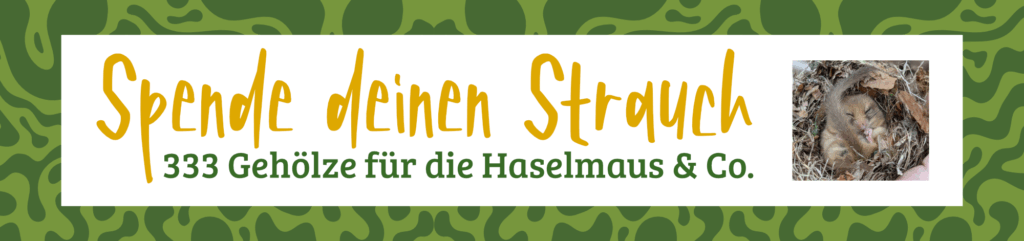 Banner Haselmaus "Spende deinen Strauch"