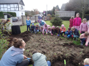 Kinder pflanzen Sträucher