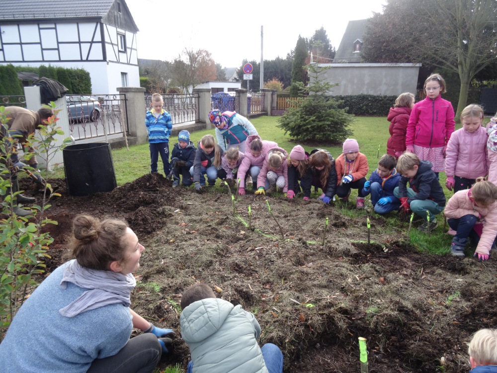 Kinder pflanzen Sträucher