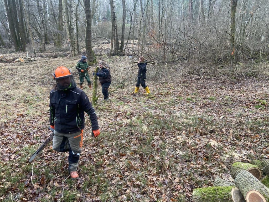 Mitarbeitende bei der Entbuschung