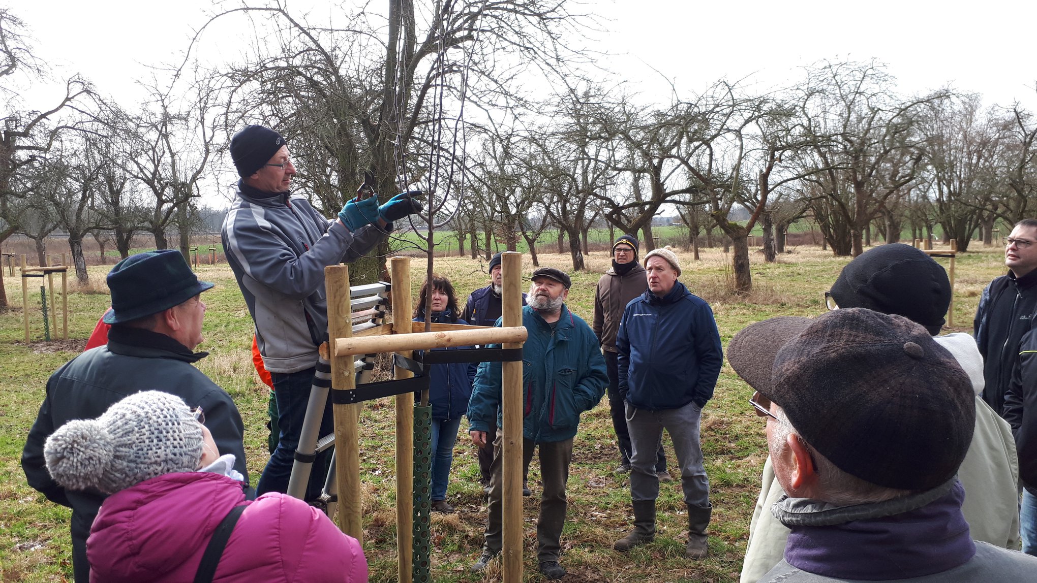 Praxisseminar Obstbaumschnitt