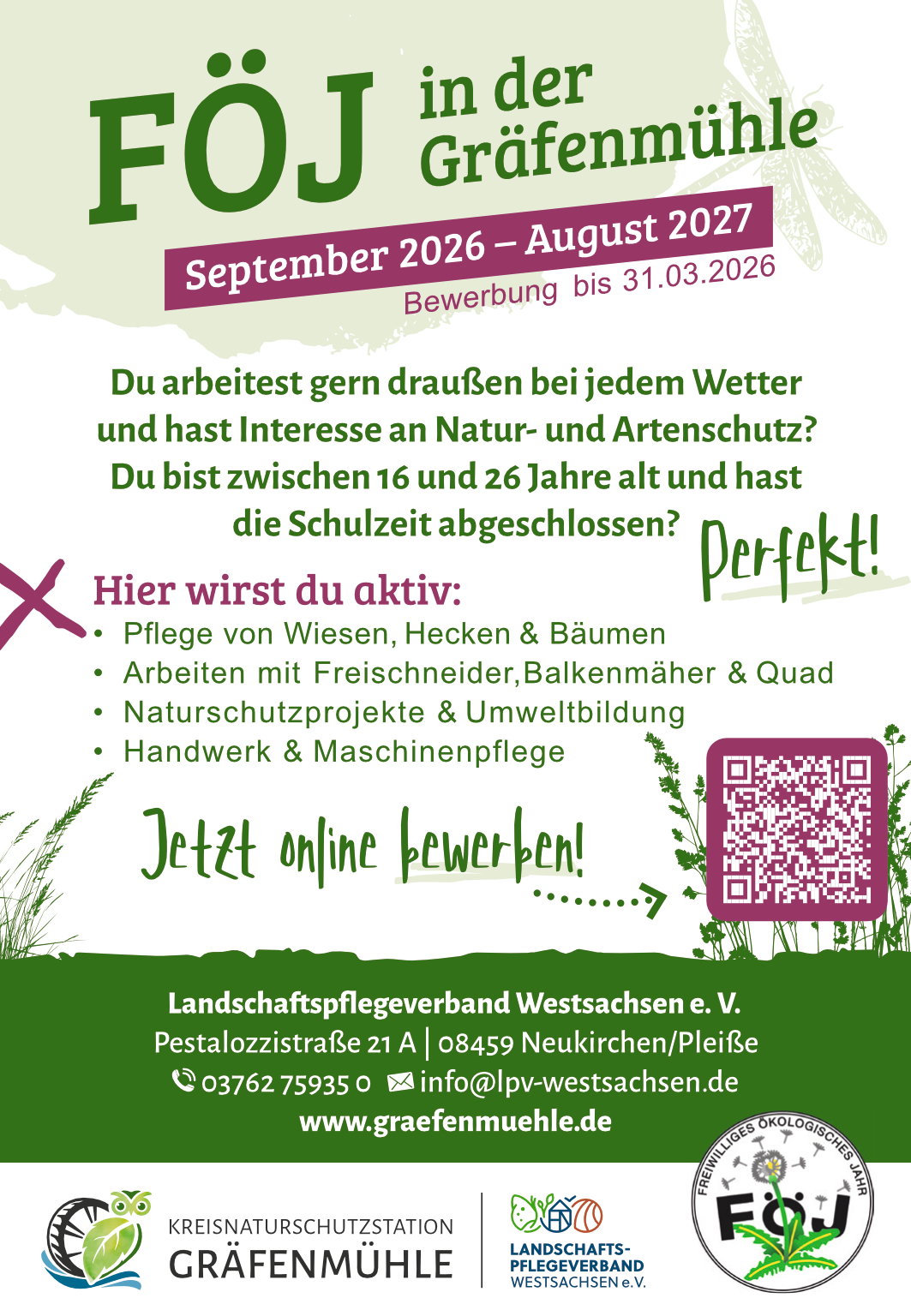 Anzeige FÖJ - Jetzt bewerben