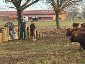 Bienenburg mit Mitarbeiter des Bauservice Marcel Neubert, Eigentümer Frank Rose und InsektA-Koordinator Daniel Schmidt mit Angusrindern vor der neu errichteten Bienenburg auf dem Gelände des Biohofes Rose in Langenbernsdorf.