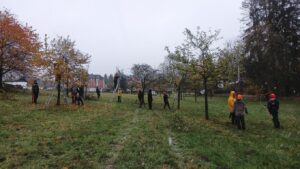 Zertifizierungskurs Obstbaumpflege