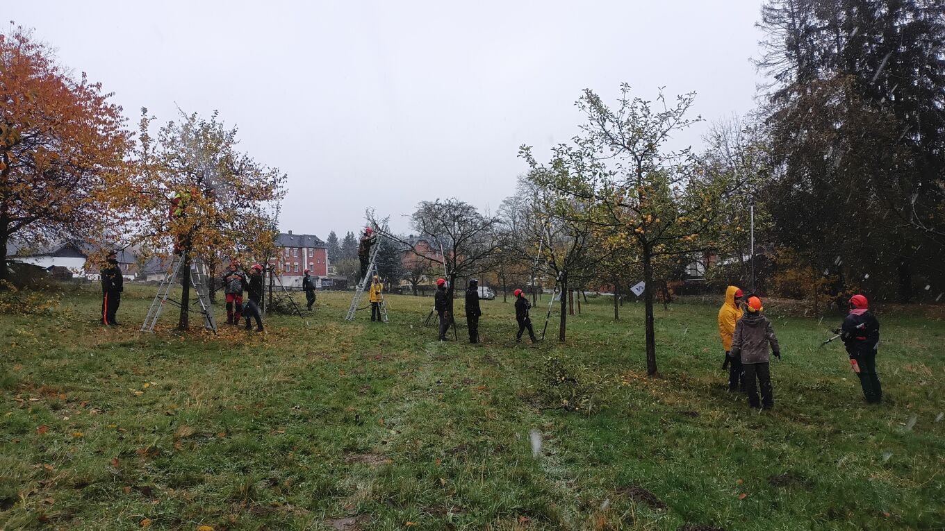 Zertifizierungskurs Obstbaumpflege
