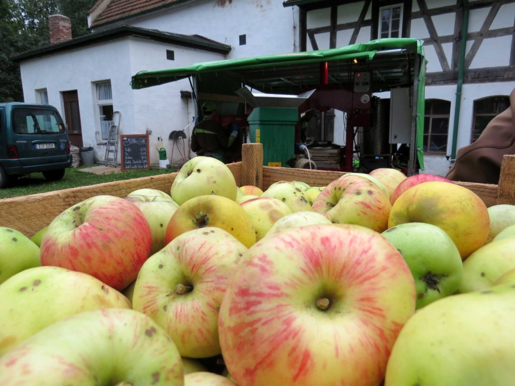 Mobile Saftpresse beim LPV in der Gräfenmühle