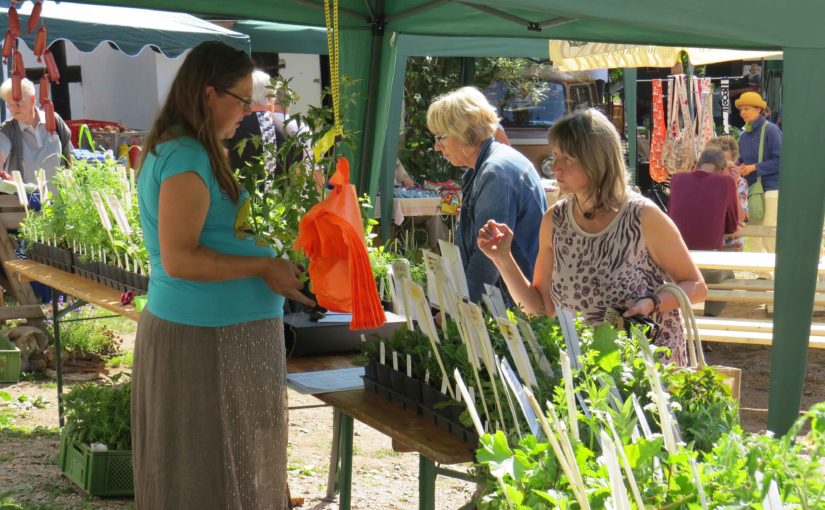 Natur trifft Kultur – Buntes Markttreiben in der Gräfenmühle