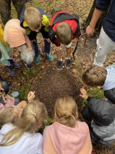 natur zum anfassen
