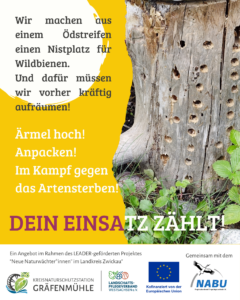 Vom Ödland zum WILDBIENEN-Paradies