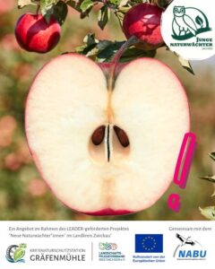 JuNa-Praxiseinsatz Streuobstwiese