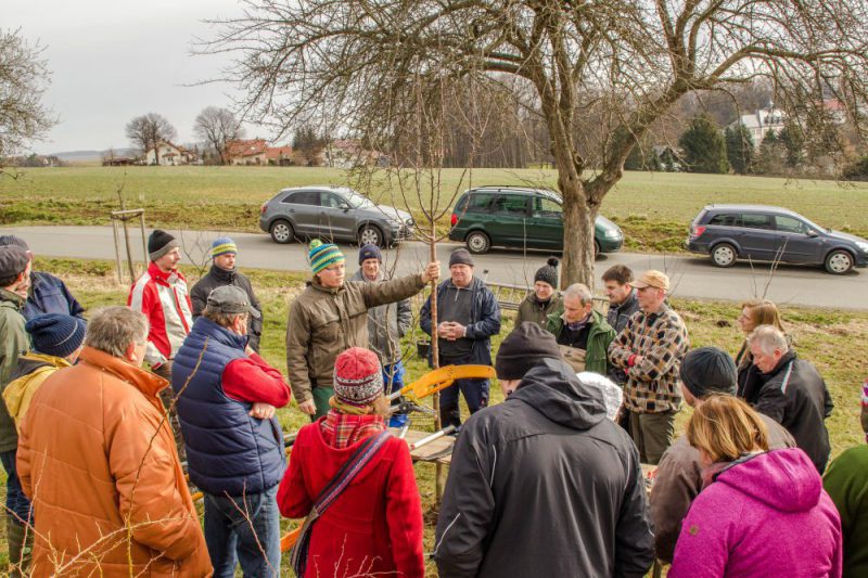 Rückblick Praxisseminare Obstbaumveredelung und Obstbaumschnitt 2017-03-Baumschnittseminar