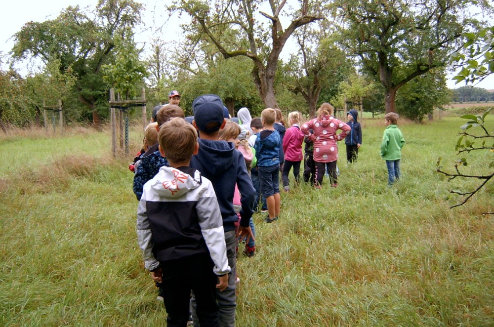 Kinder auf der Streuobstwiese