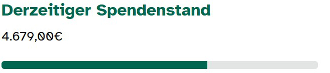 Spendenstand Website