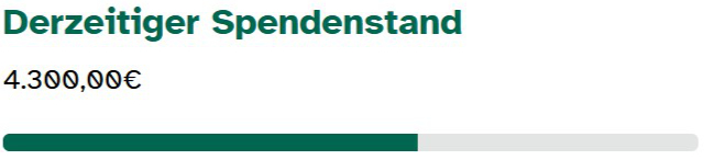 Aktueller Spendenstand 4.300,00 €