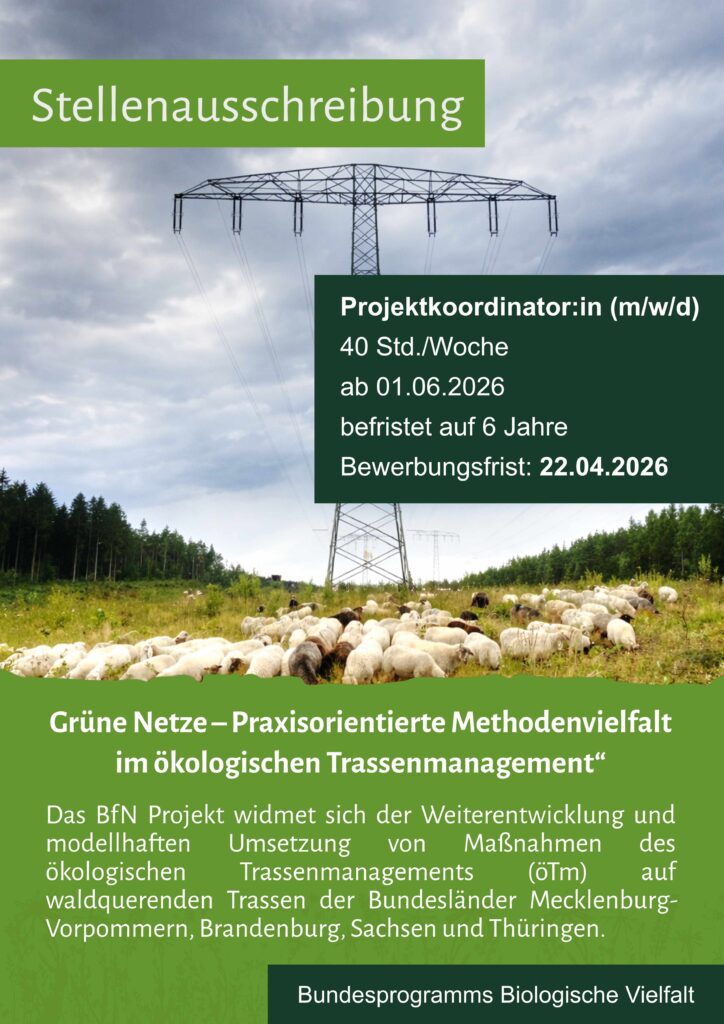 Stellenanzeige Projektkoordination "Grüne Netze"