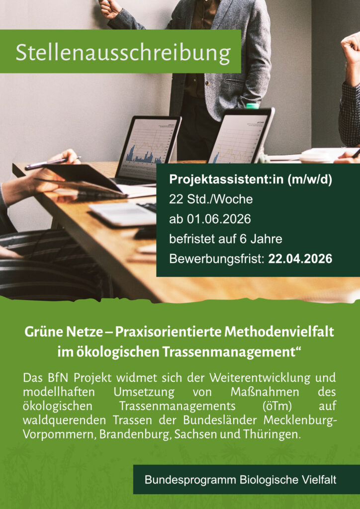 Stellenausschreibung Assistenz