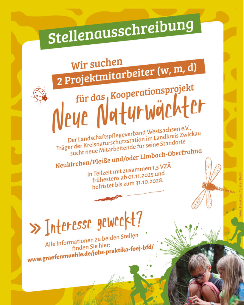 Stellenausschreibungen