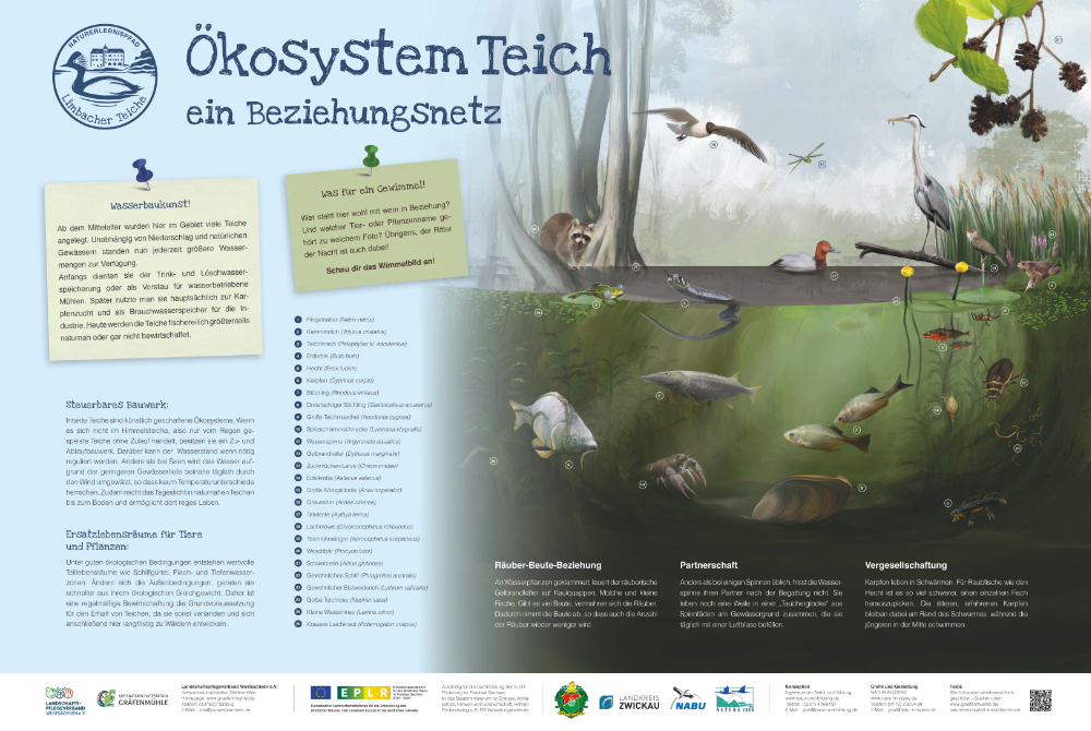 Tafel08 Ökosystem Teich
