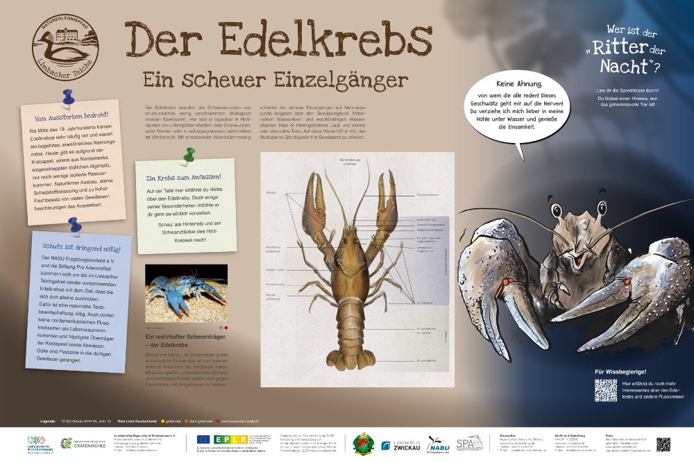 Edelkrebs