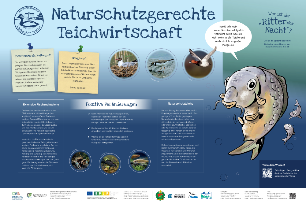 Teichwirtschaft