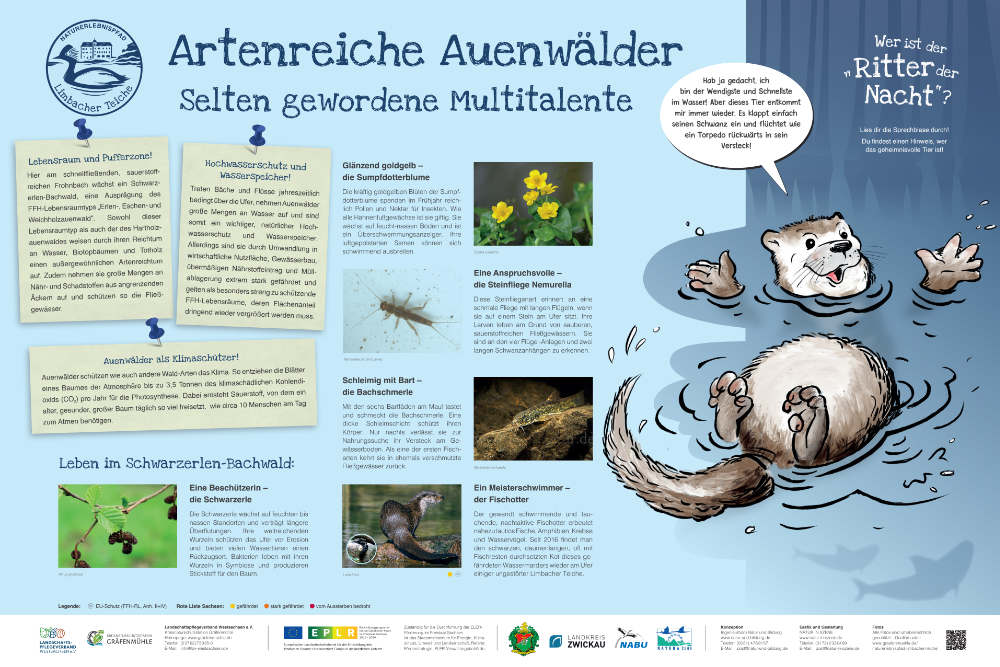 Auenwälder