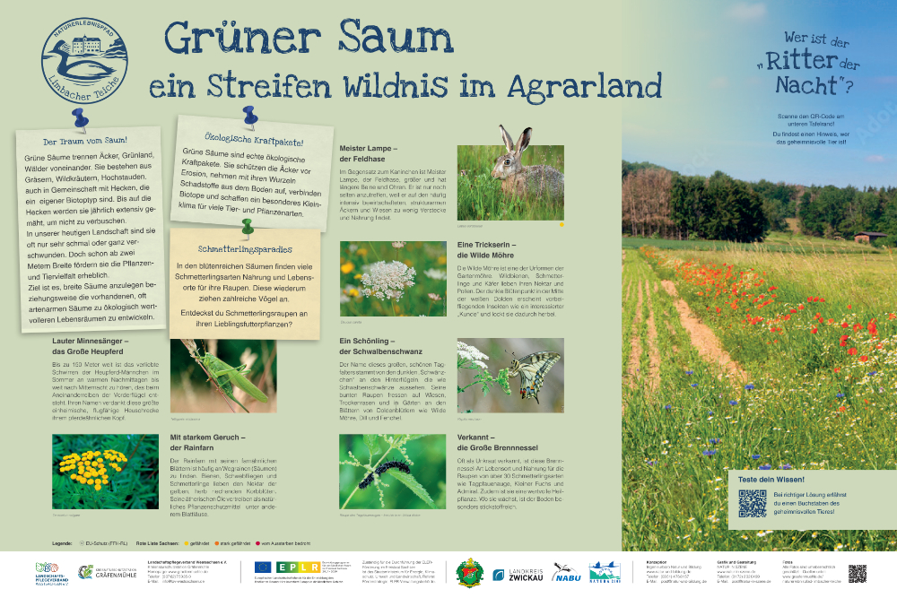 Grüner Saum