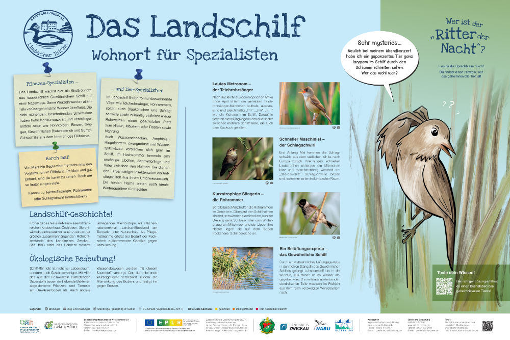 Landschilf