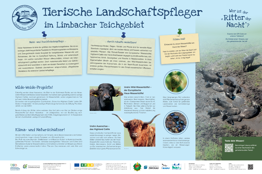 Wasserbüffel