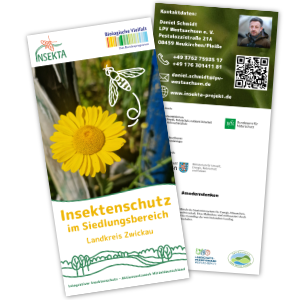 Flyer InsektA im Siedlungsraum