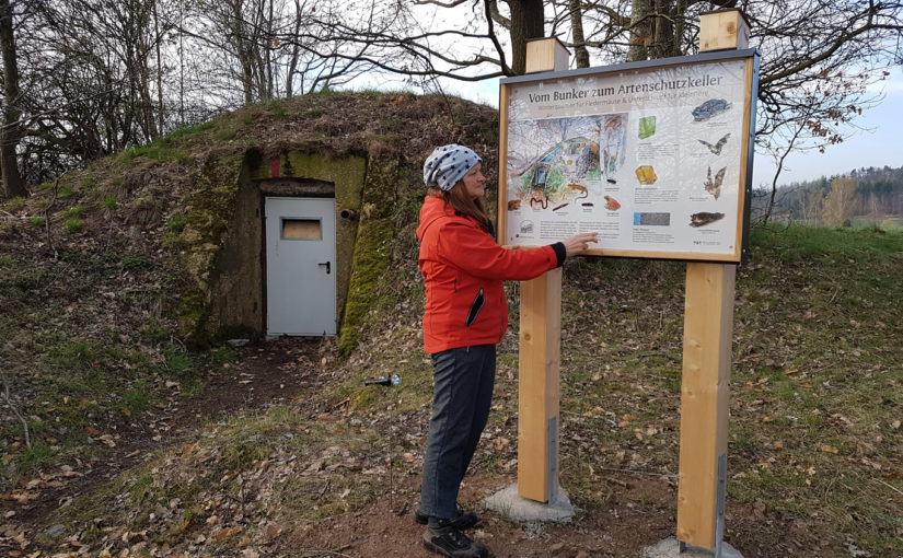 Vom Bunker zum Artenschutzkeller