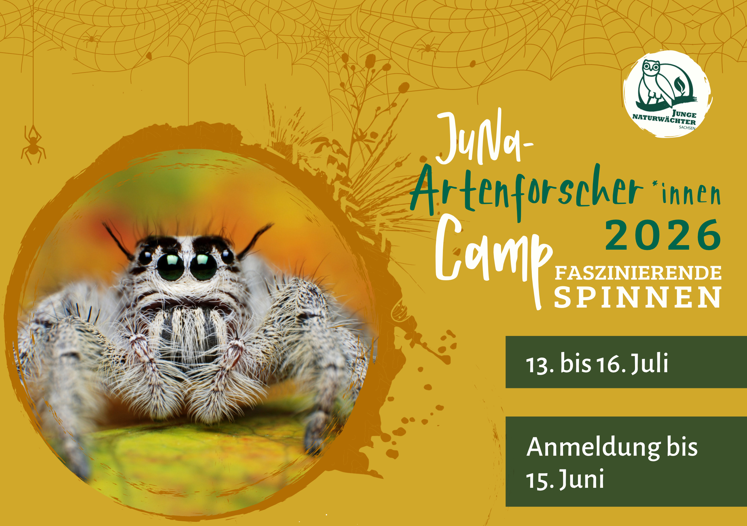 JuNaS ArtenforscherInnen Camp