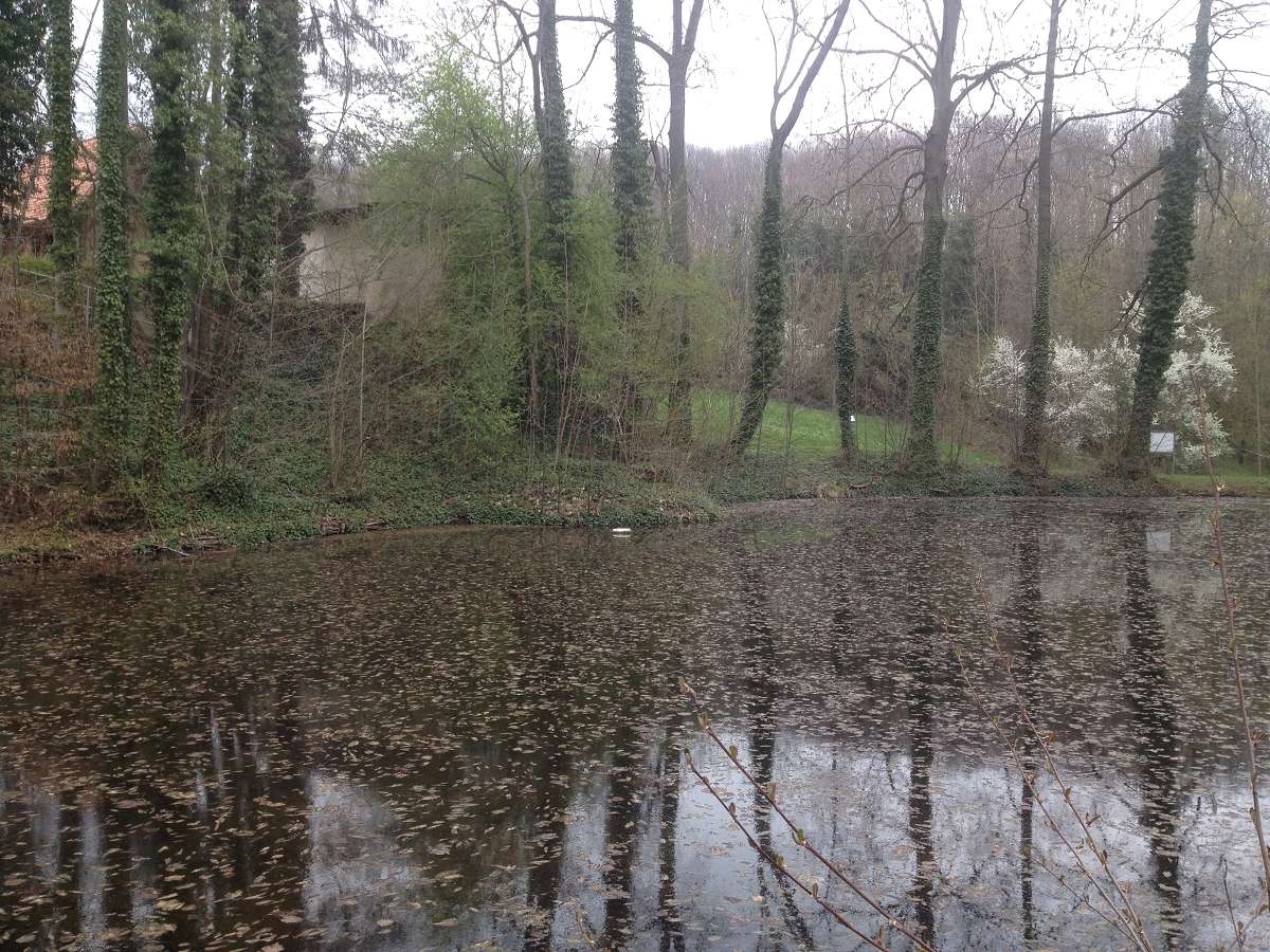 Blankenhain Hellerteich