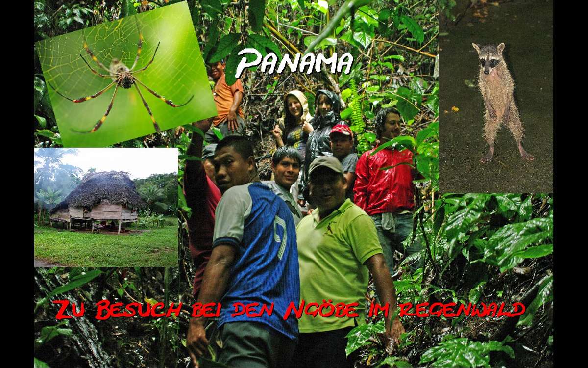 Wildes Panama